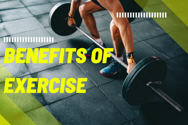Shoulder Exercise in Gym