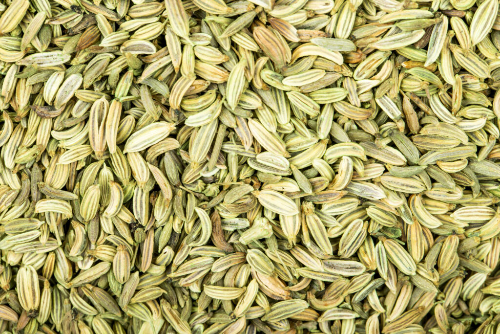 Fennel seeds