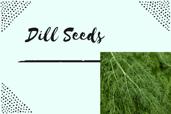 Dill seeds