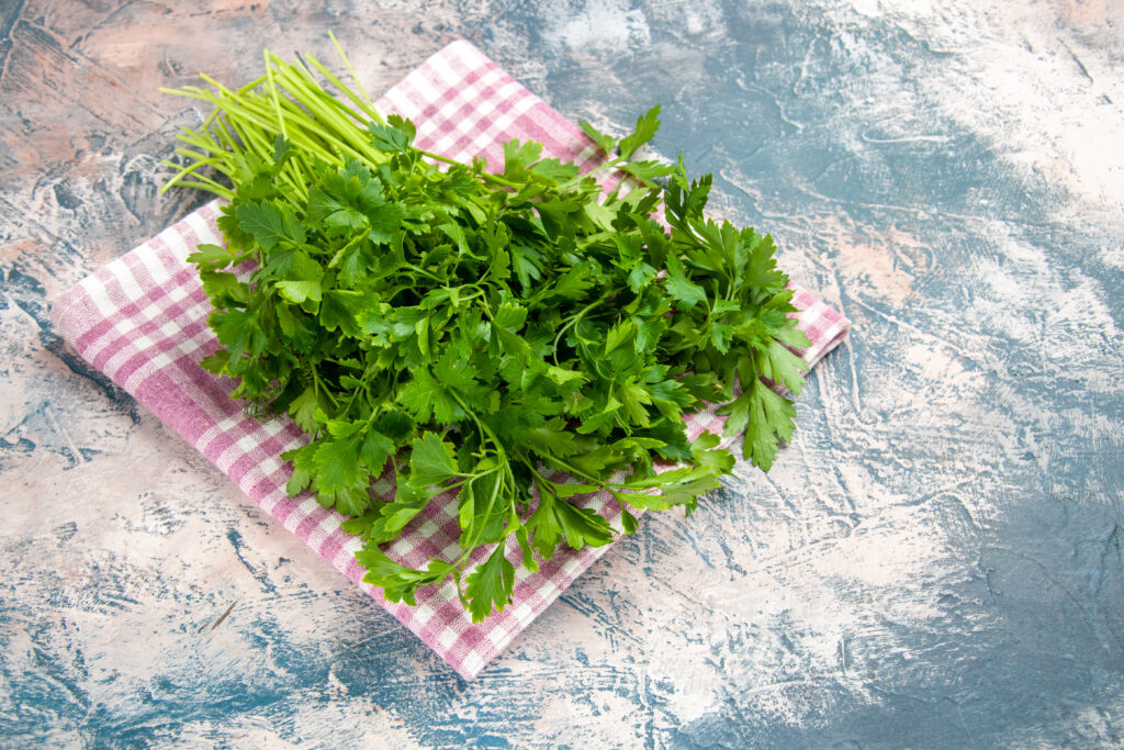 Coriander water benefits
