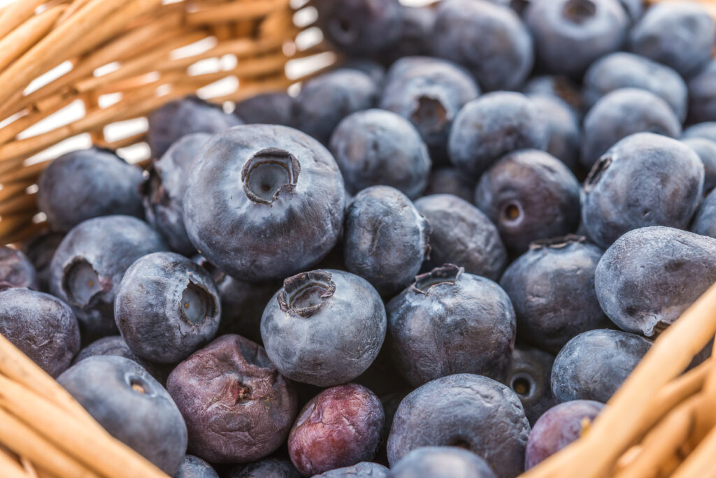 Dried blueberry benefits