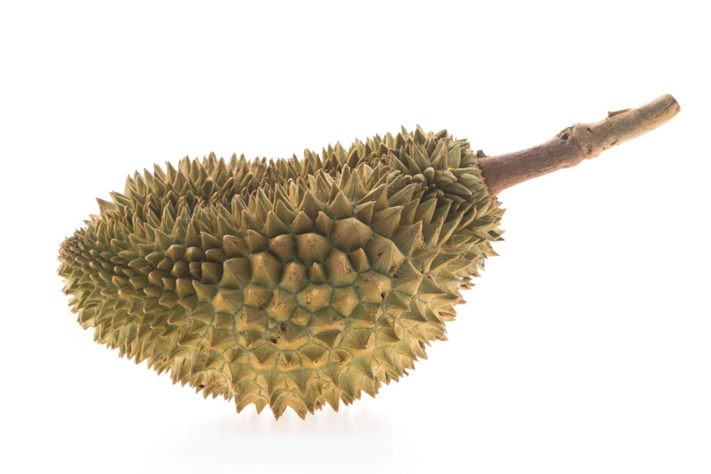 Durian fruit benefits