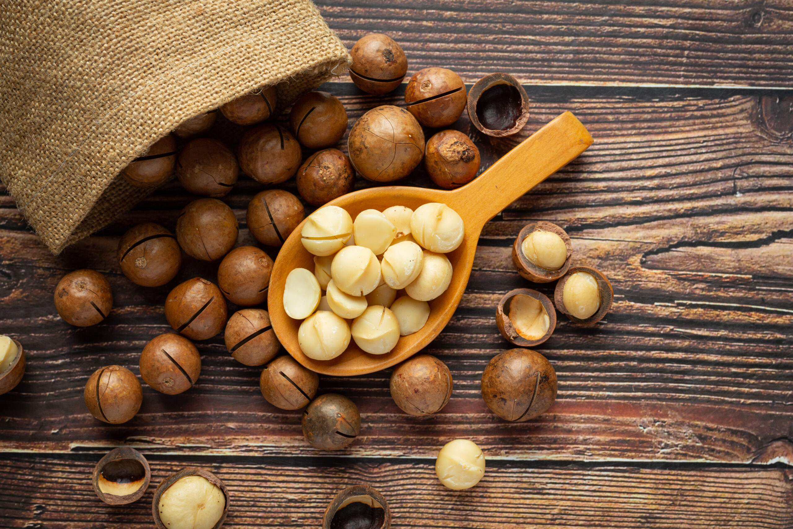 Macadamia nuts benefits