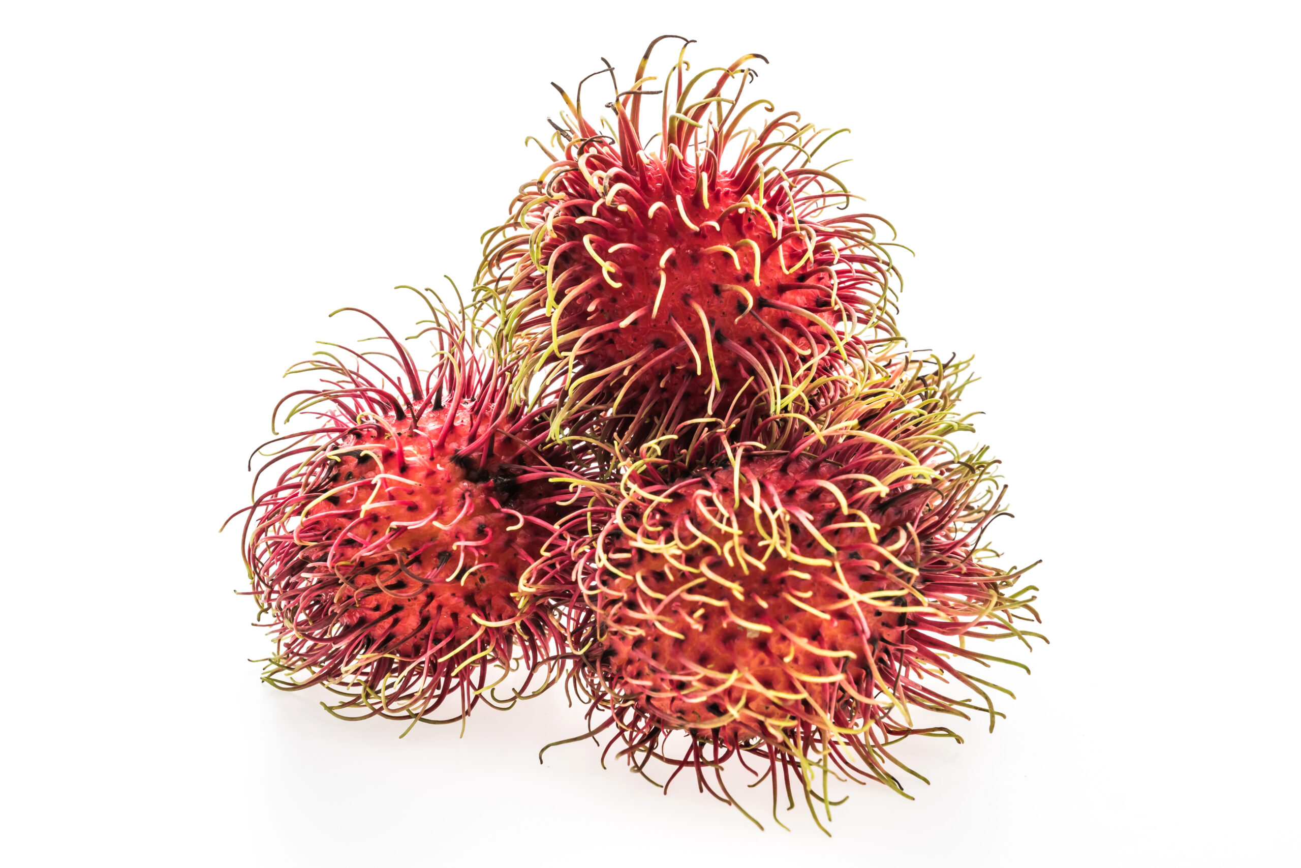 Rambutan fruit benefits