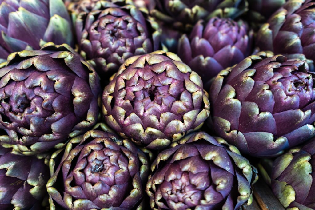 Artichoke benefits