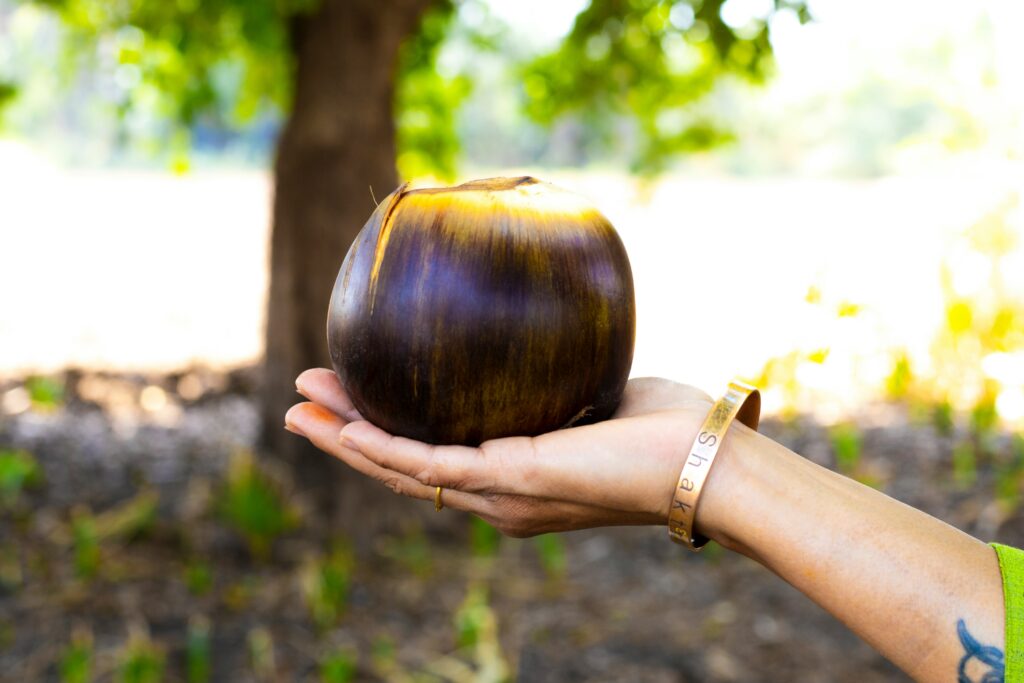 Ice apple fruit benefits