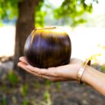 Ice apple fruit benefits