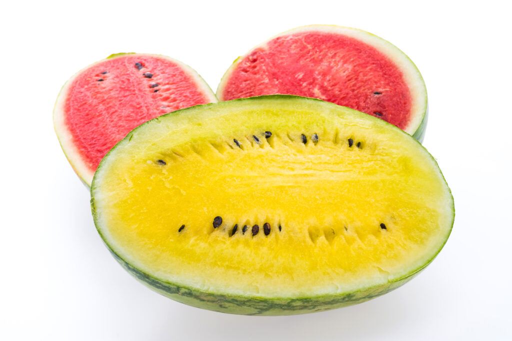 Yellow Watermelon