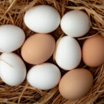Egg is veg or non veg: Complete guide